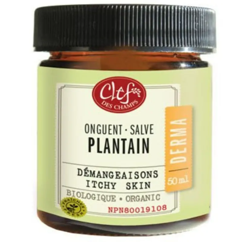 Clef Des Champs Organic Plantain Salve – 50Ml Soothing Herbal Ointment 1