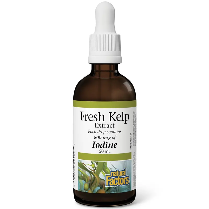 Natural Factors Fresh Kelp Extract Liquid – 50 Ml Thyroid Support 1