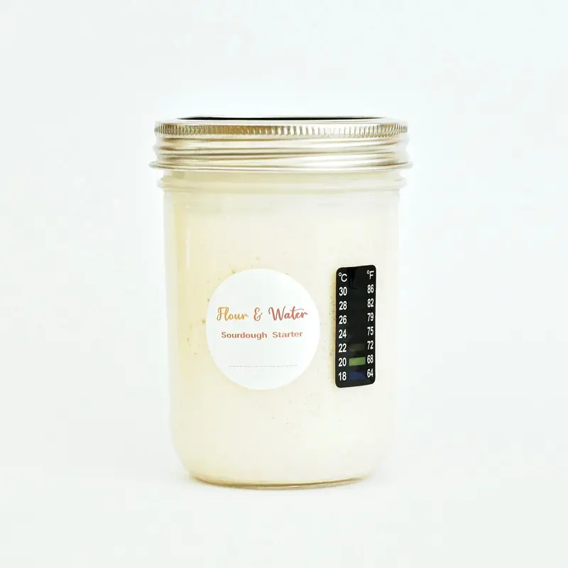 Organic Wheat Sourdough Starter Kit – Dehydrated Wild Yeast 1