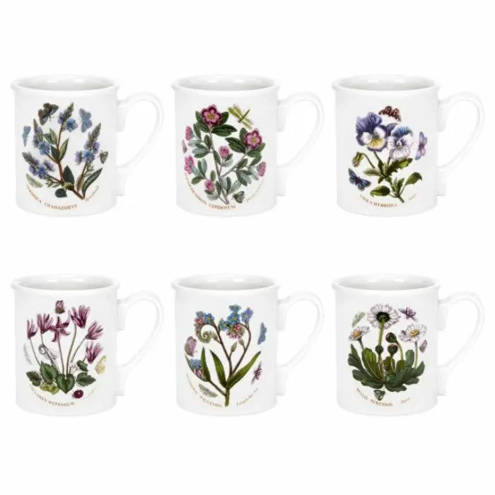 Portmeirion Botanic Garden Set Of 6 Assorted Breakfast Mugs 1